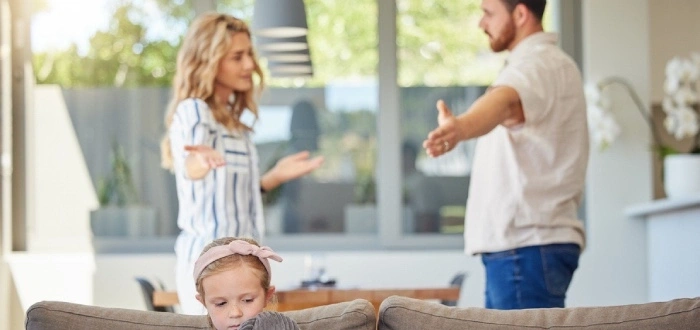 child-custody-mup