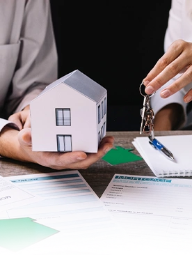 Property  Division