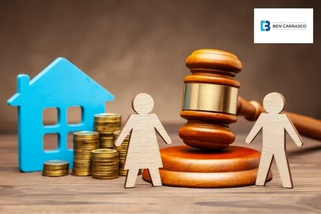 Texas Division of Assets Laws Image